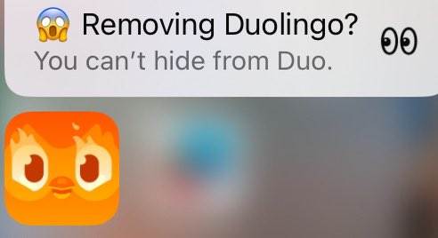 Duolingo notifikacija Duolingo notifikacija