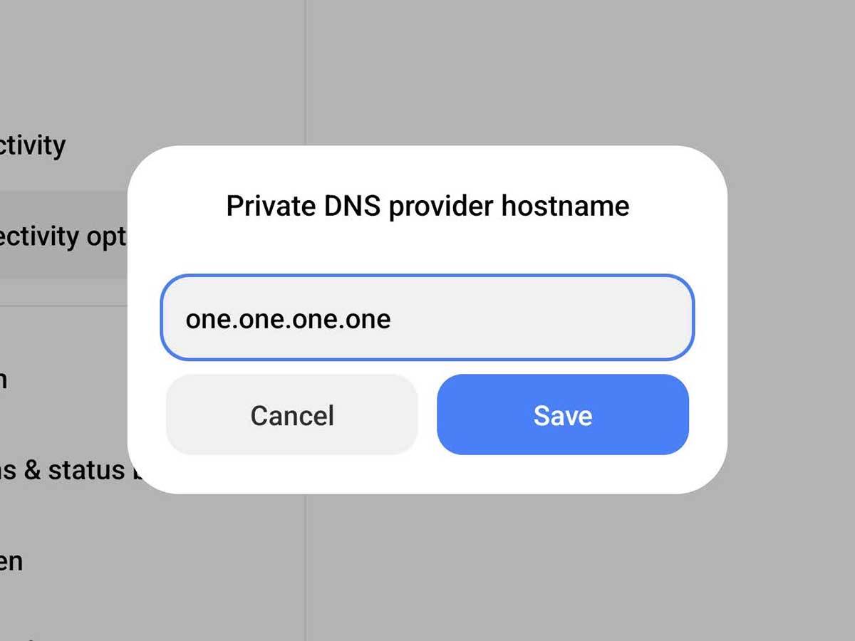 Private DNS   Private DNS
