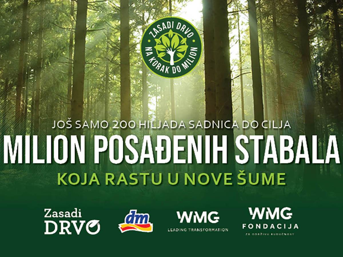Zasadi drvo Zasadi drvo