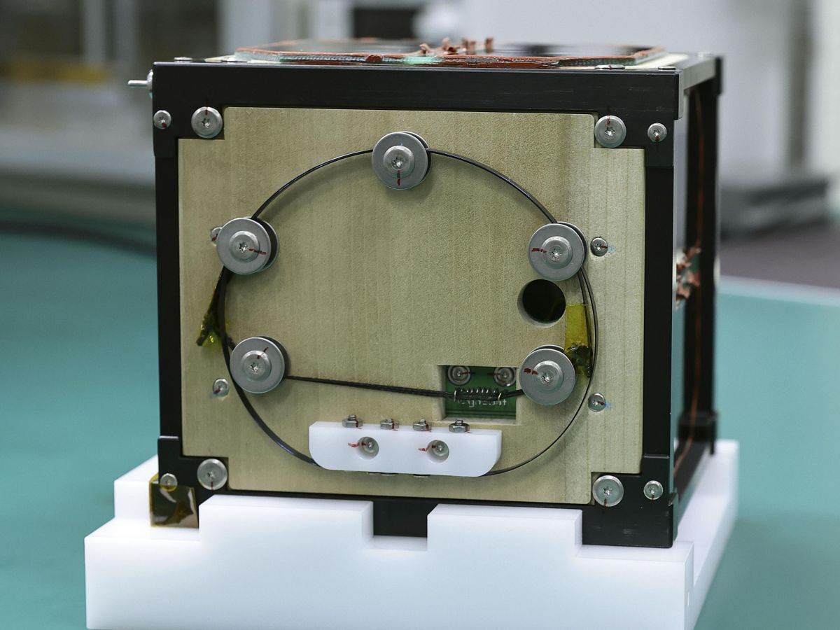  satelit od drveta _ Japan _  Foto Profimedia (4).jpg 