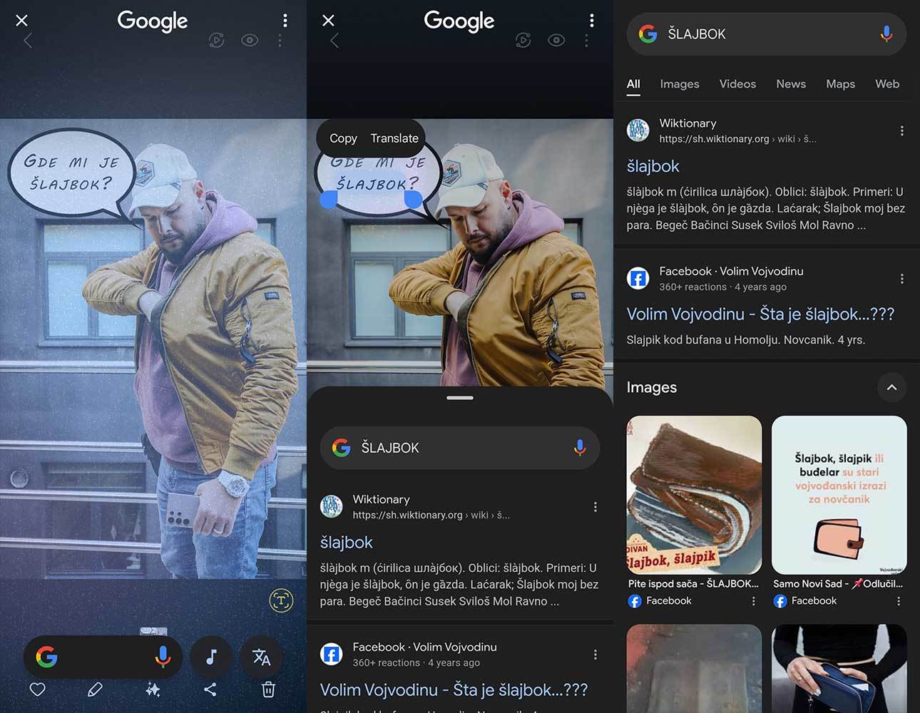 Circle to Search značenje vojvođanskih izraza   Circle to Search značenje vojvođanskih izraza