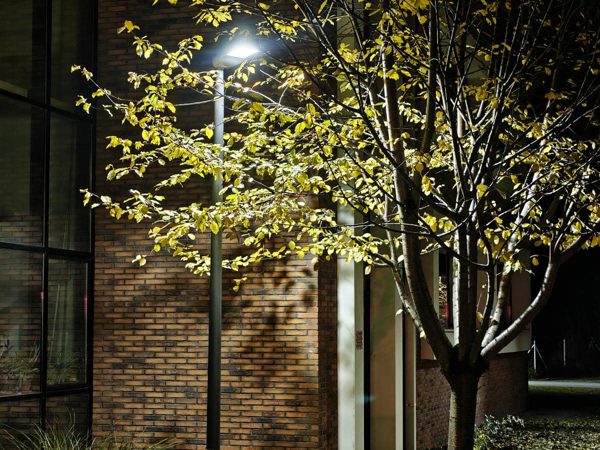  realme GT 7 Pro test kamera 4.jpg - SmartLife / Ilija Baošić 