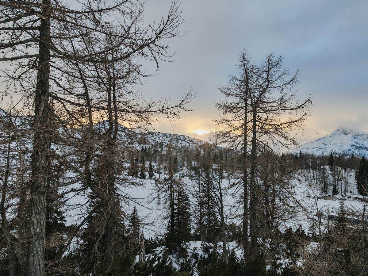  Bled _ Honor Magic7 Pro _ fotografije _ Foto SmartLife Miloš B. Jovanović (4).jpg - Miloš B. Jovanović / SmartLife 