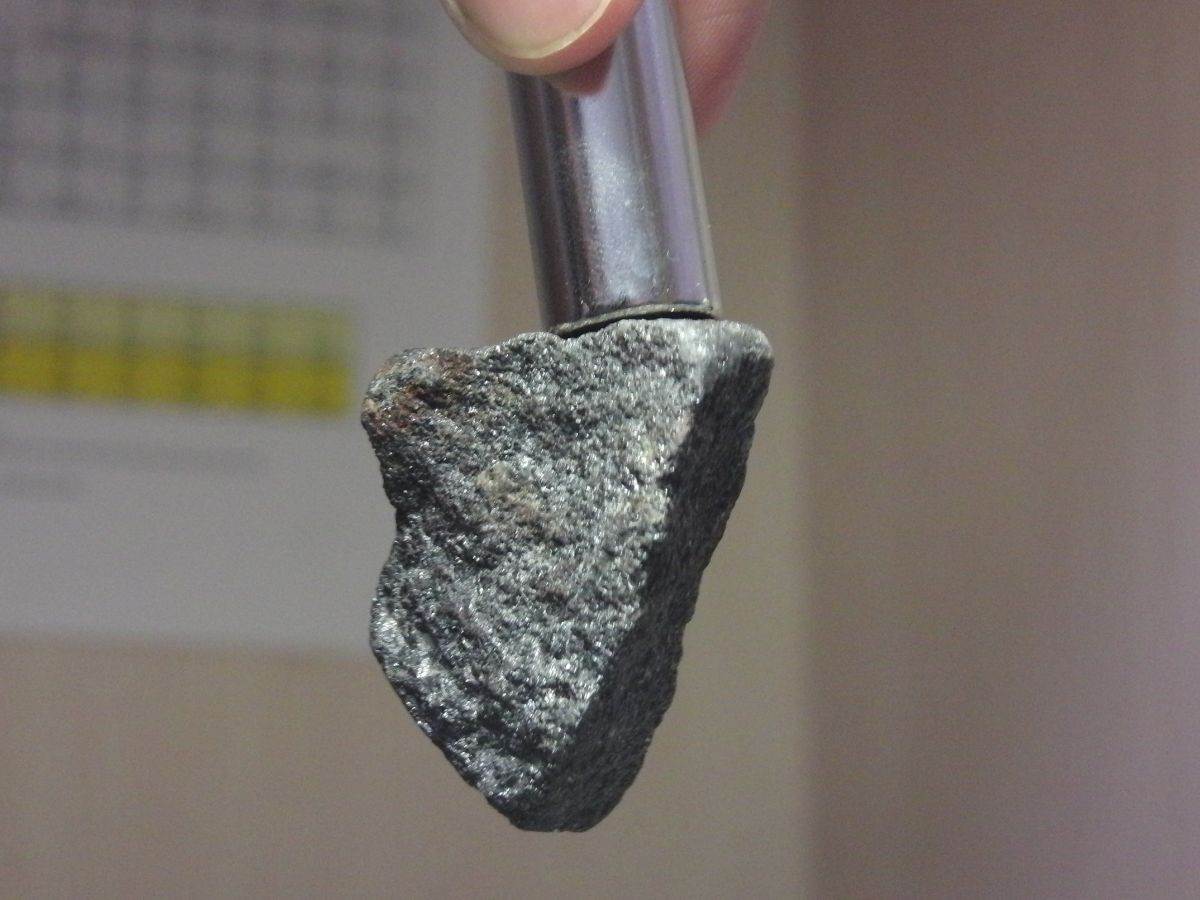 Magnet _ Foto Wikimedia GOKLuLe 盧樂.jpg Magnet _ Foto Wikimedia GOKLuLe 盧樂.jpg