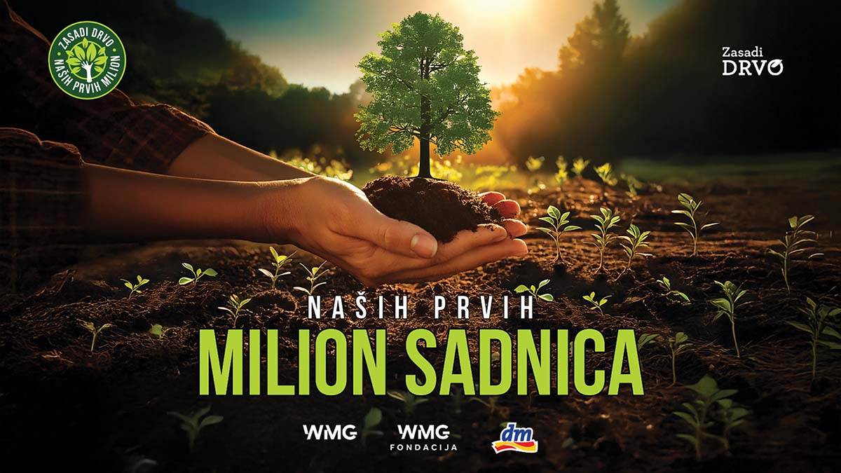 Zasadi drvo   Zasadi drvo