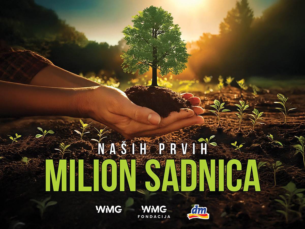 Zasadi drvo   Zasadi drvo