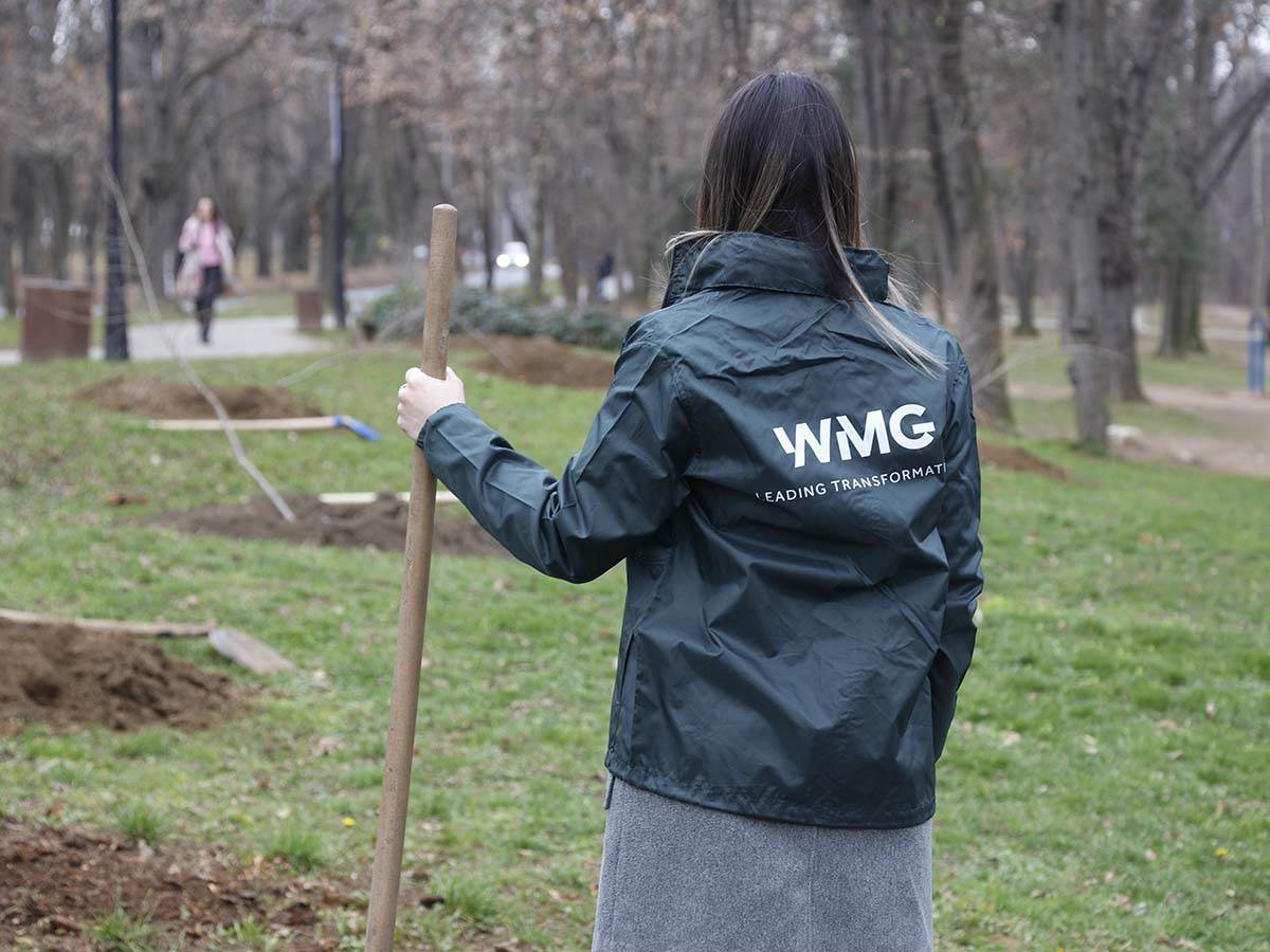 Zasadi Drvo WMG   Zasadi Drvo WMG