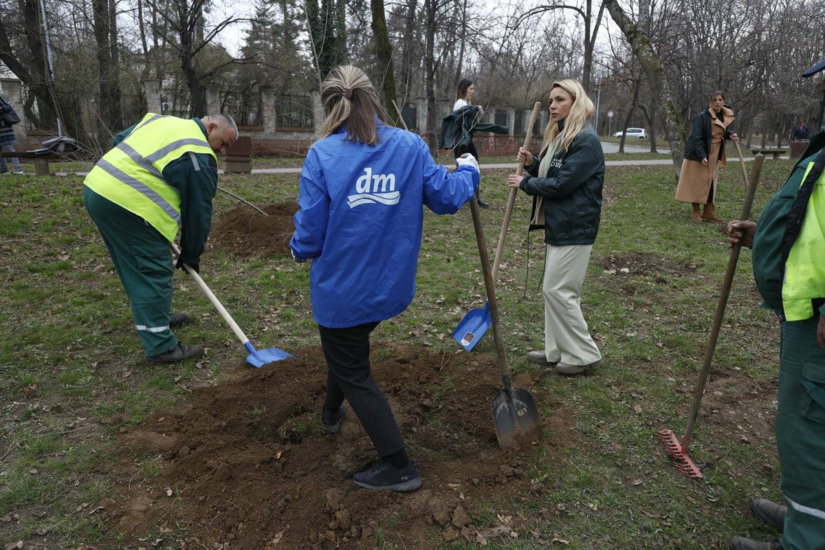 Zasadi drvo akcija   Zasadi drvo akcija