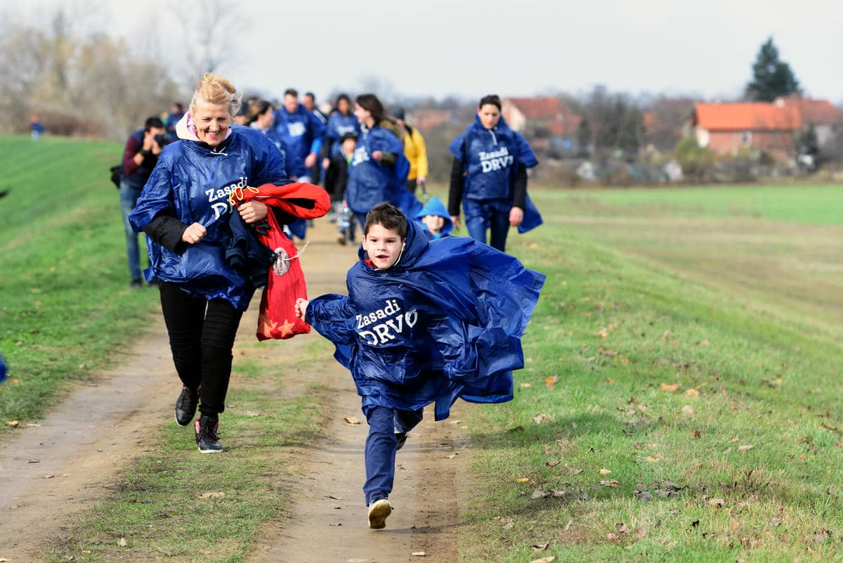 zasadi drvo projekat   zasadi drvo projekat