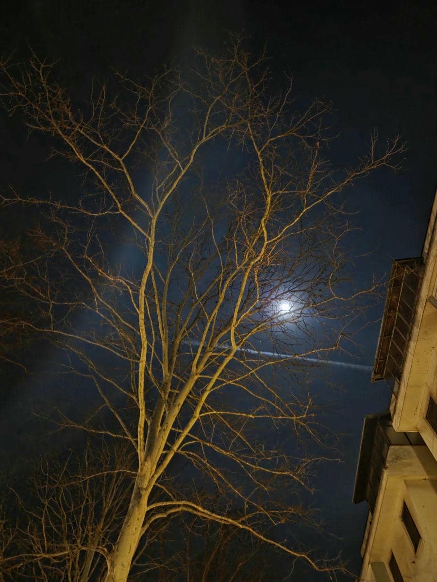  Samsung Galaxy S25 foto _ SmartLife_Miloš B. Jovanović (13).jpg - SmartLife / Miloš B. Jovanović 