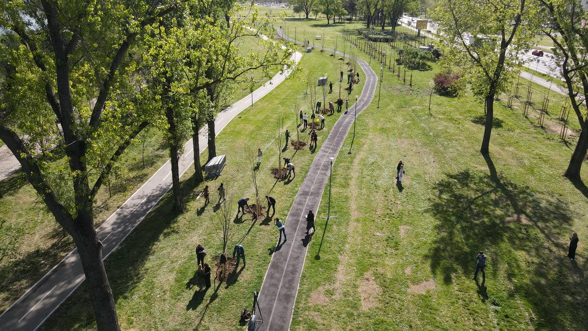 Zasadi drvo akcija   Zasadi drvo akcija