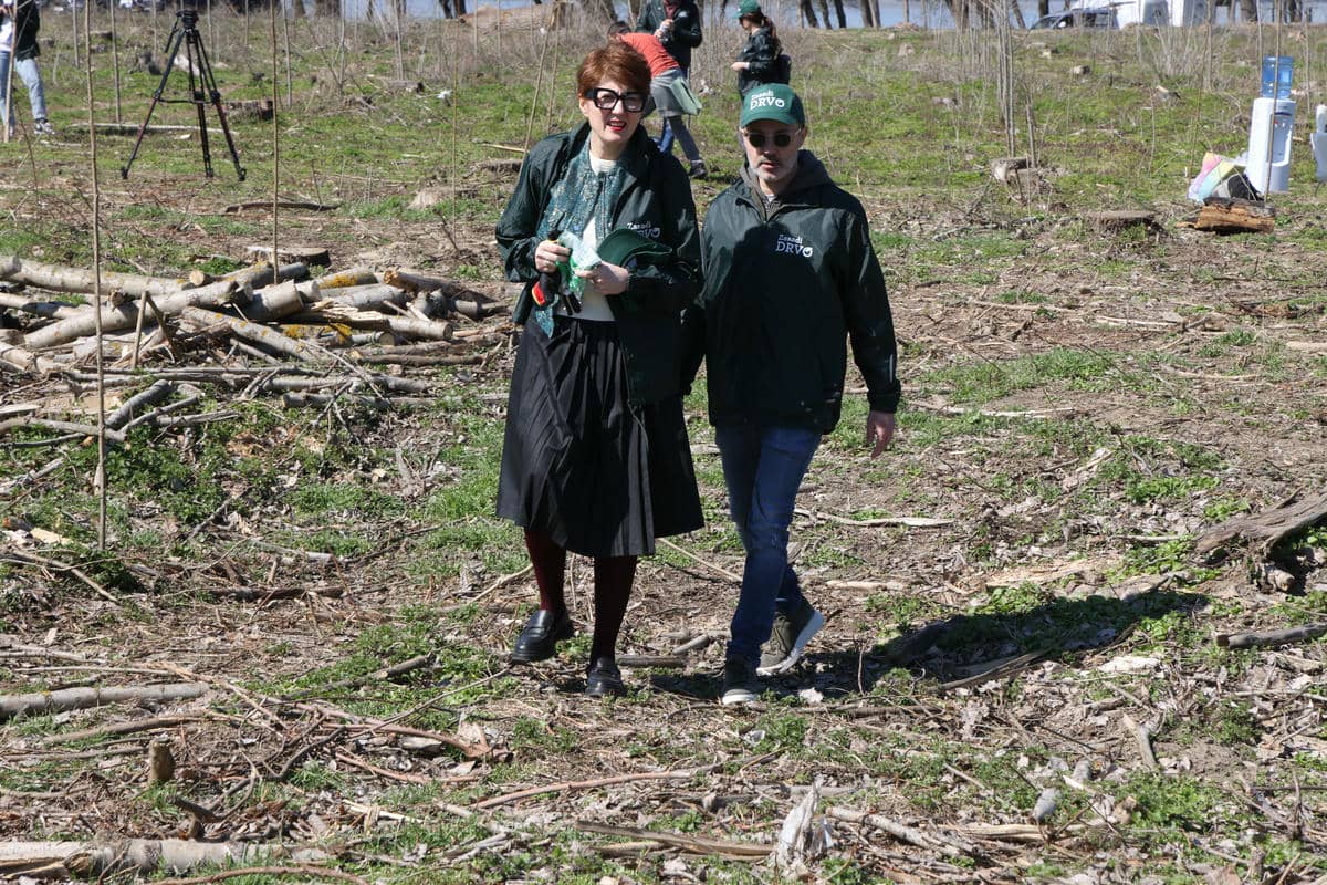  0W9A8214 Damir Dervisagic.jpg 