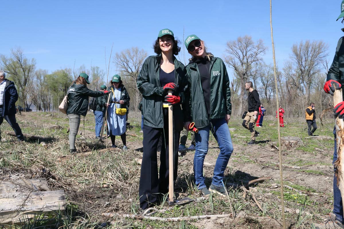  0W9A8253 Damir Dervisagic.jpg - Promo 