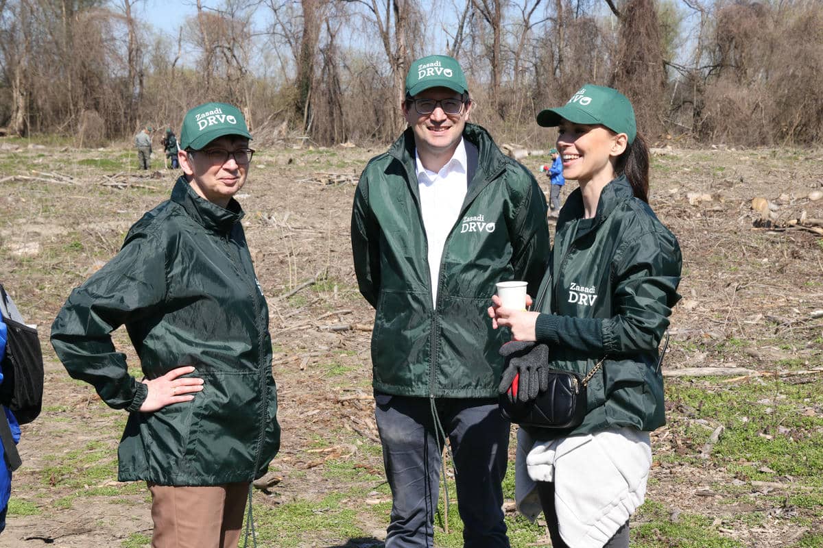  0W9A8537 Damir Dervisagic.jpg - Promo 