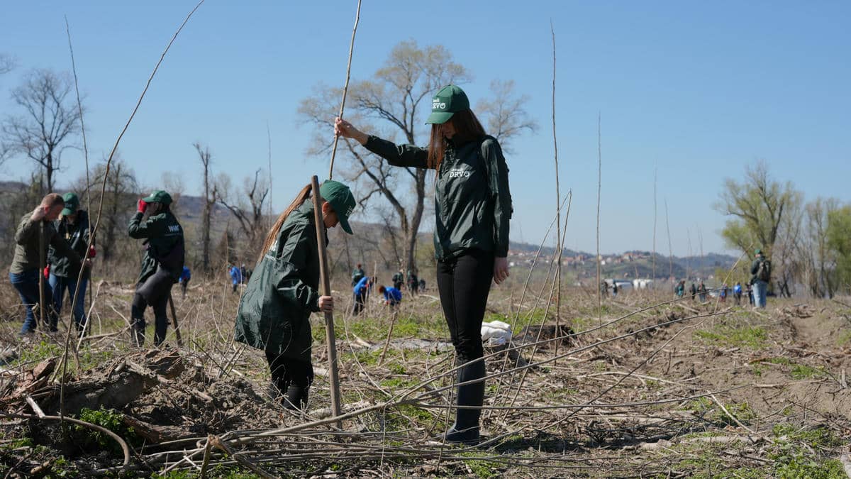  250321 Mladen Nikolic (294).jpg - Promo 