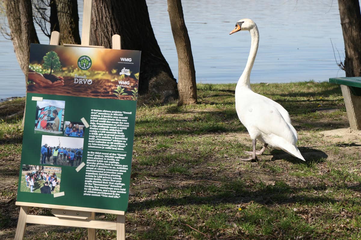  0W9A8030.jpg - Damir Dervišagić 