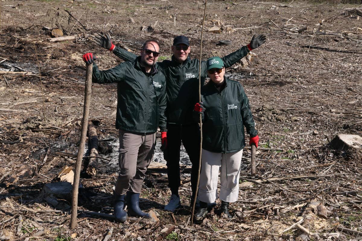  0W9A8198.jpg - Damir Dervišagić 