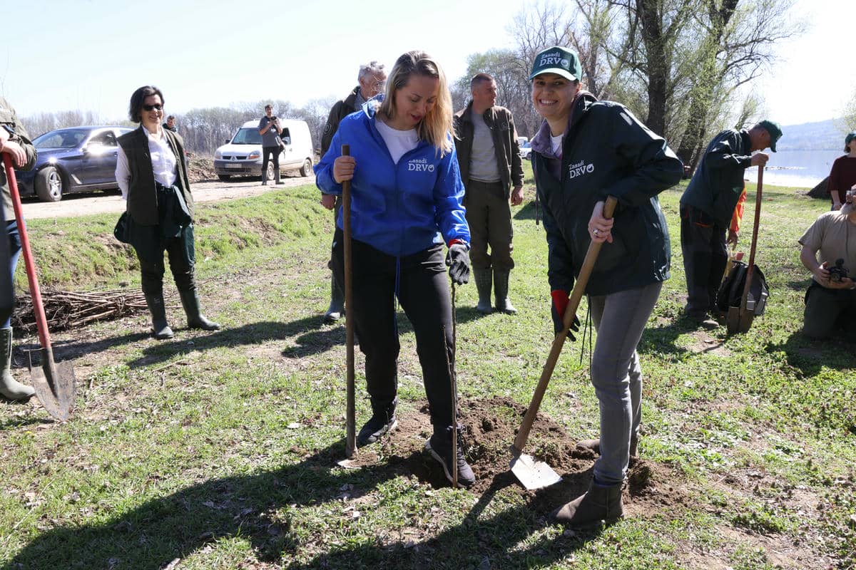  0W9A8649.jpg - Damir Dervišagić 