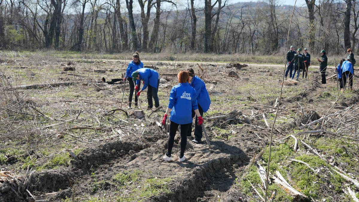  250321 Mladen Nikolic (281).jpg - Mladen Nikolić 