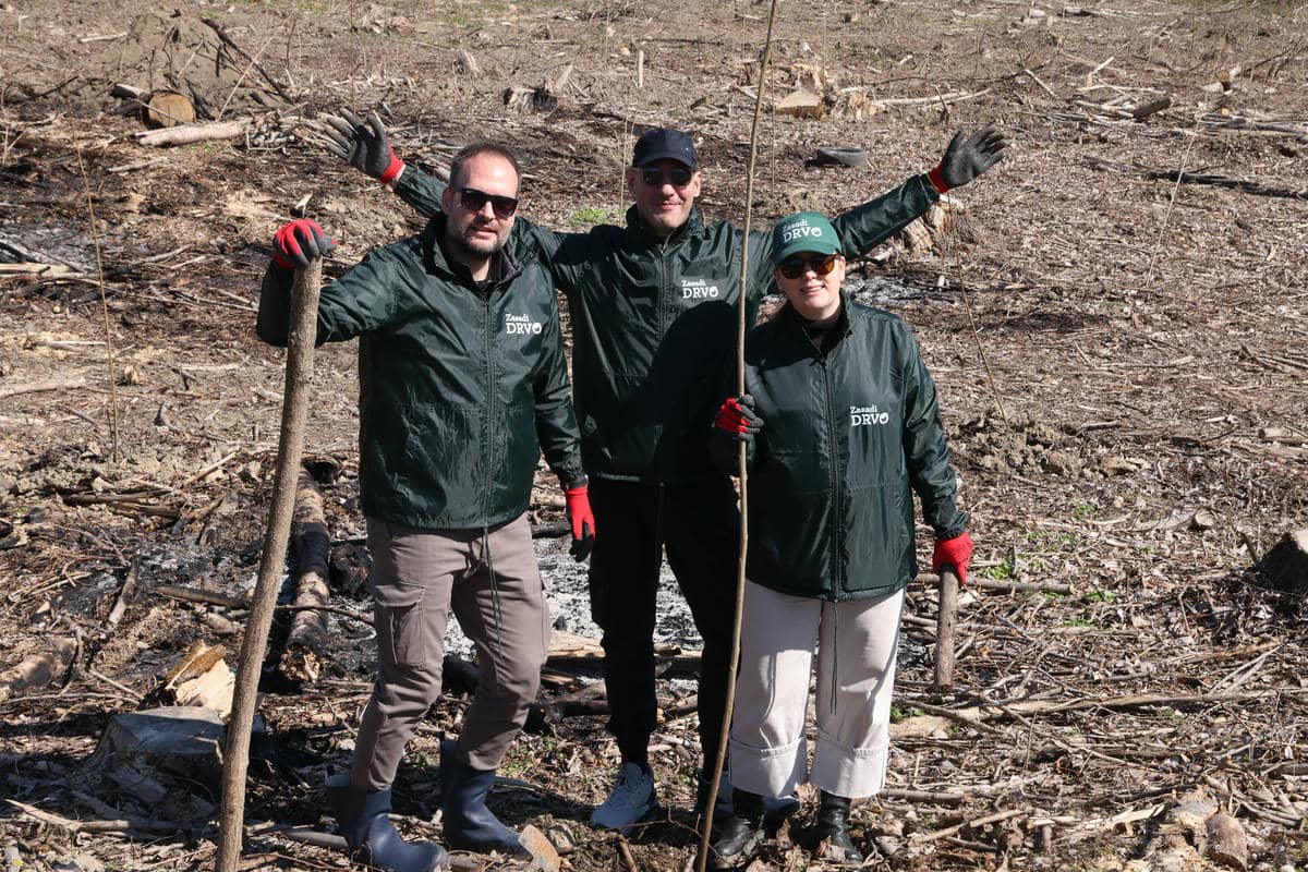 Zasadi drvo akcija   Zasadi drvo akcija