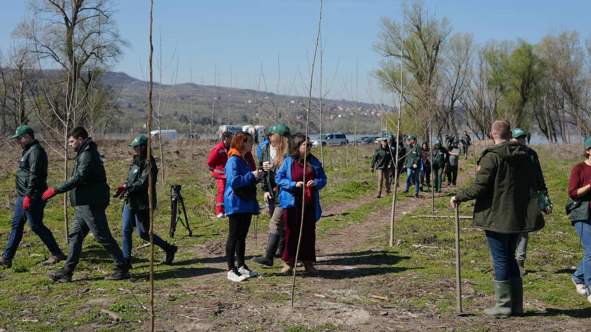 250321 Mladen Nikolic (111).jpg - Mladen Nikolić   250321 Mladen Nikolic (111).jpg - Mladen Nikolić