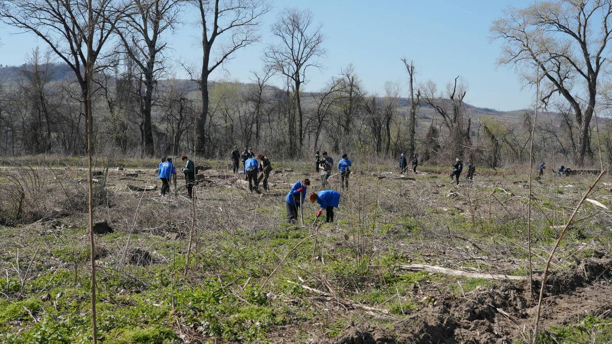  250321 Mladen Nikolic (302).jpg - Mladen Nikolić 