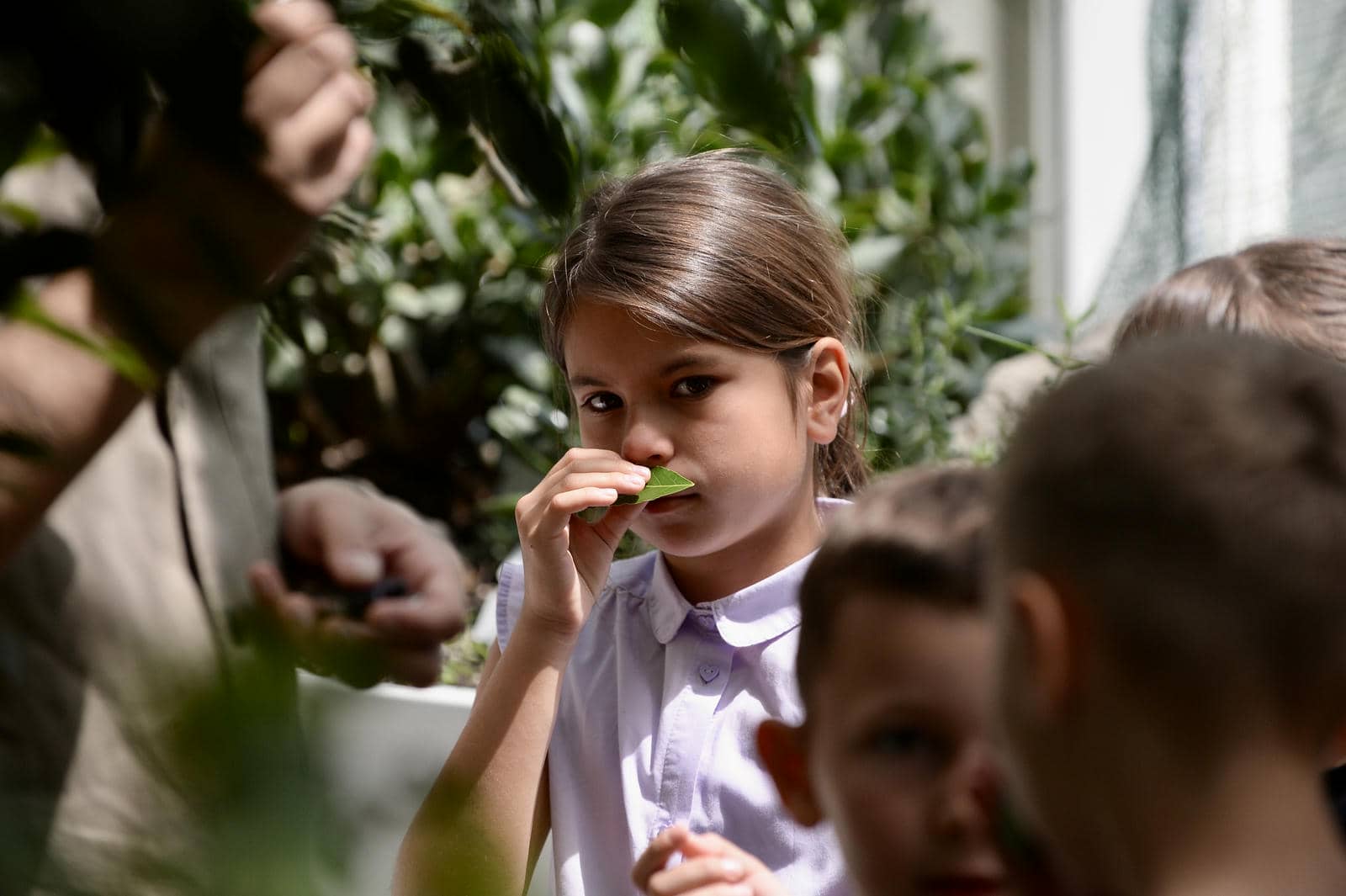 Dečija radionica Zasadi drvo 2.jpg - Jakov Milošević   Dečija radionica Zasadi drvo 2.jpg - Jakov Milošević