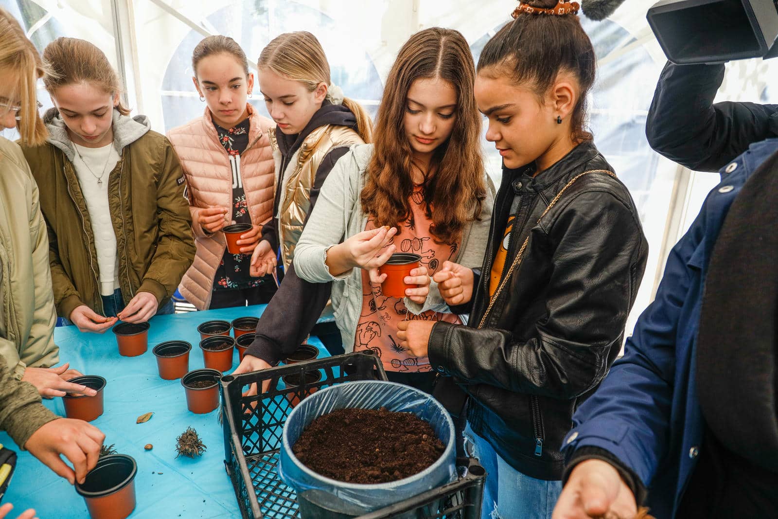  Zasadi drvo slika 1.jpg - WMG 