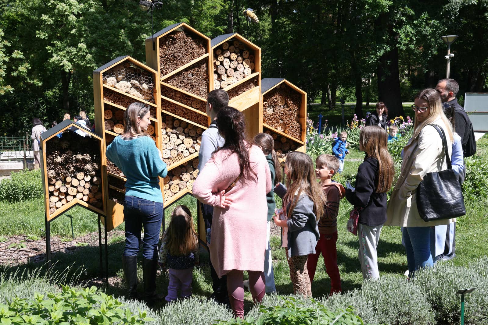  Zasadi drvo slika 5.jpg - WMG 