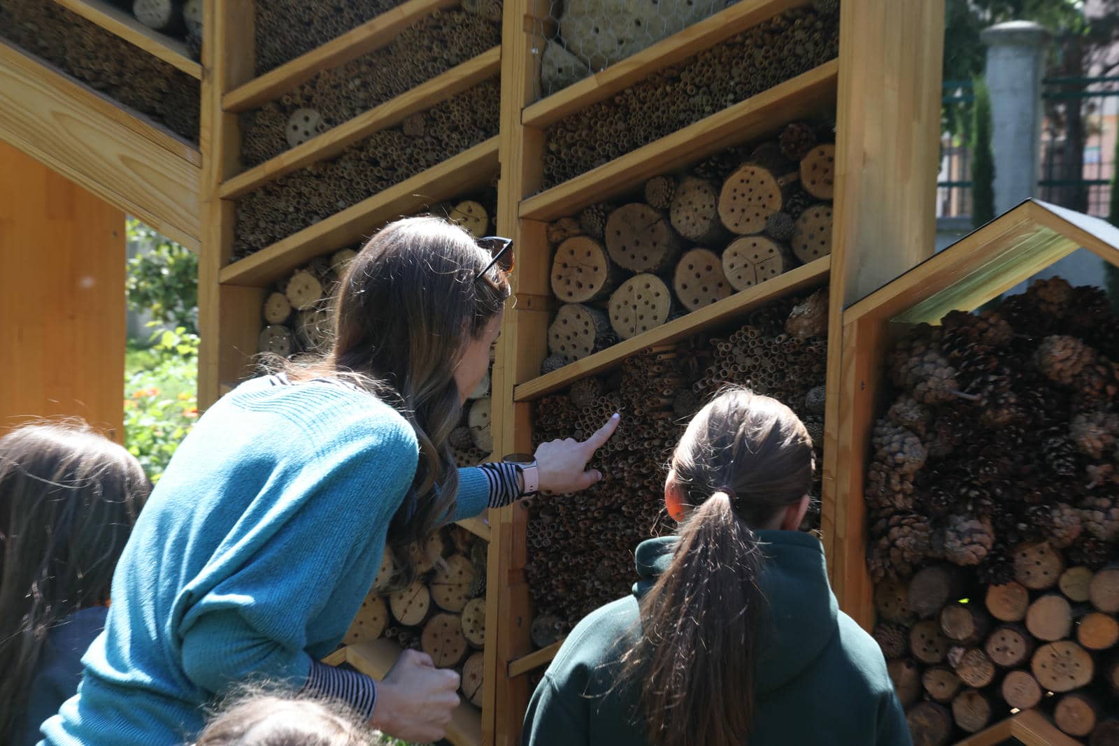  Zasadi drvo slika 6.jpg - WMG 