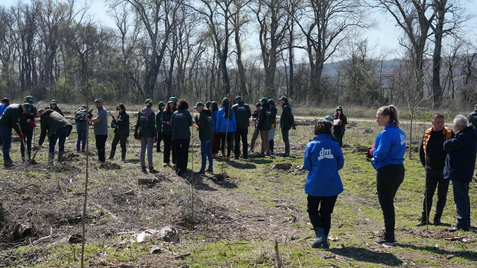  Zasadi drvo slika 7.jpg 