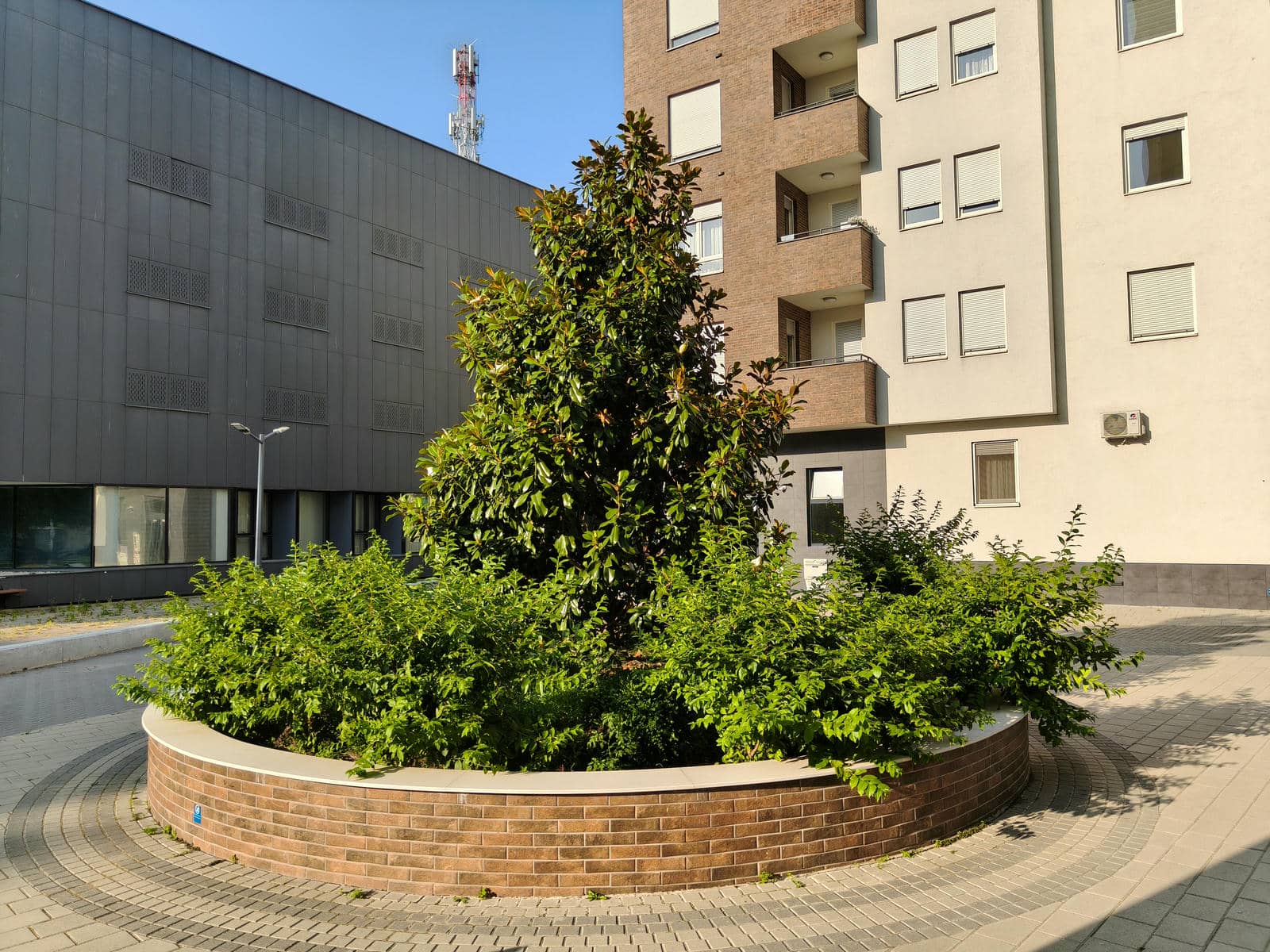 realme GT 7 i GT 7T recenzija kamere  4.jpg - Ilija Baošić   realme GT 7 i GT 7T recenzija kamere  4.jpg - Ilija Baošić