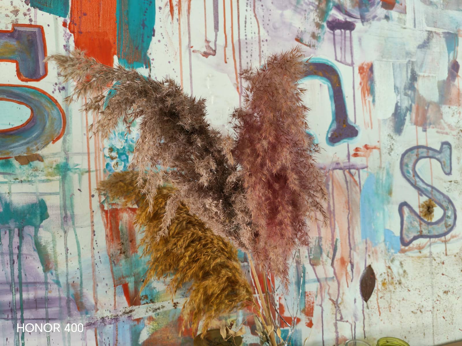  HONOR 400 test kamere slika 18.jpg - Ilija Baošić 