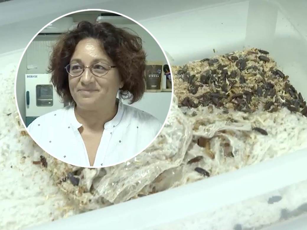  Crvi koji jedu plastiku 