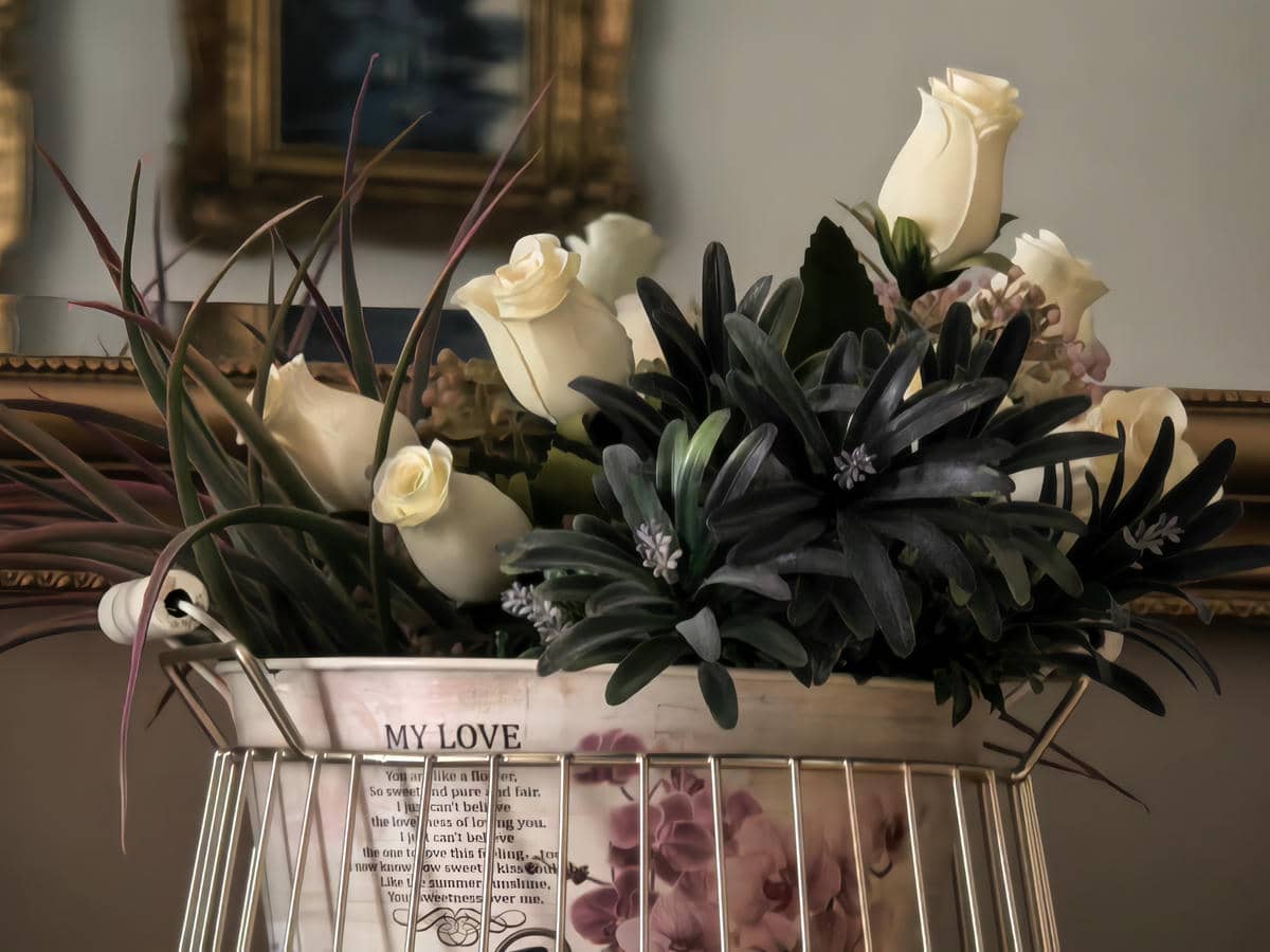 IMG_20250814_130217.jpg   IMG_20250814_130217.jpg