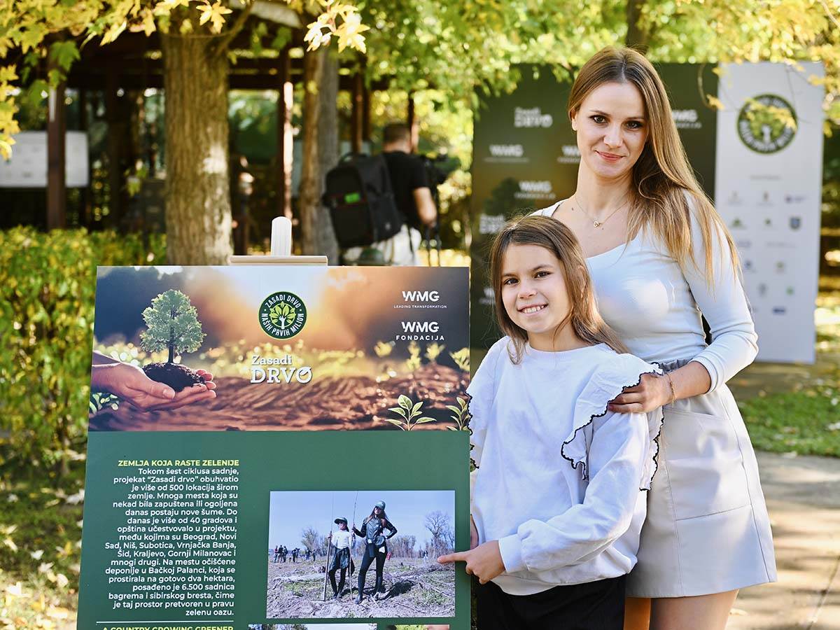 Zasadi drvo   Zasadi drvo