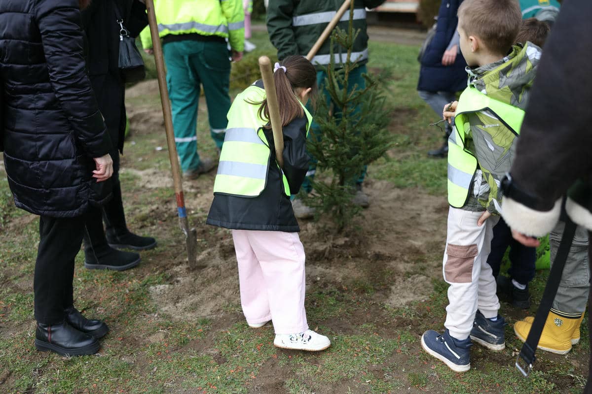  HMCL3184.jpg - Nemanja Nikolić 