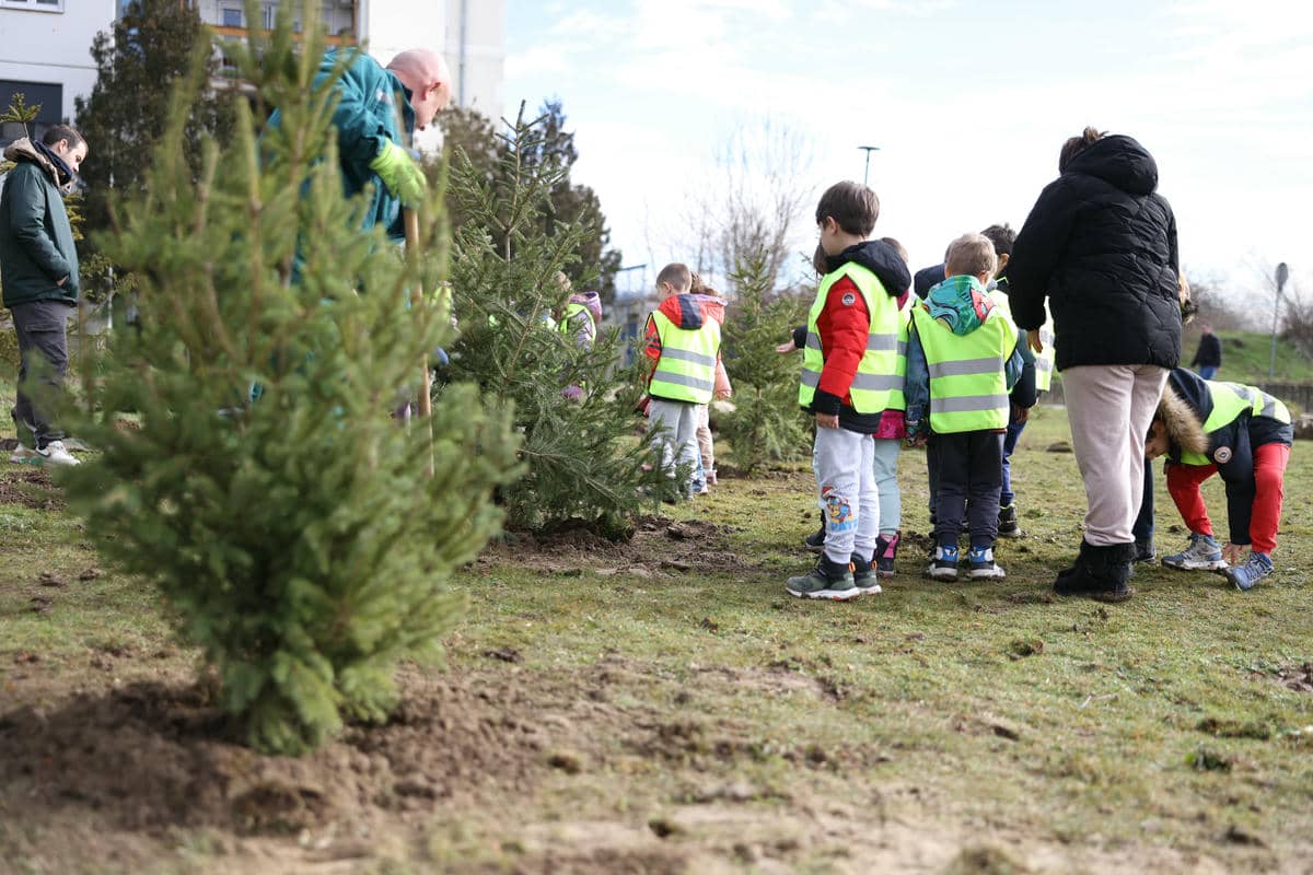  HMCL3486.jpg - Nemanja Nikolić 