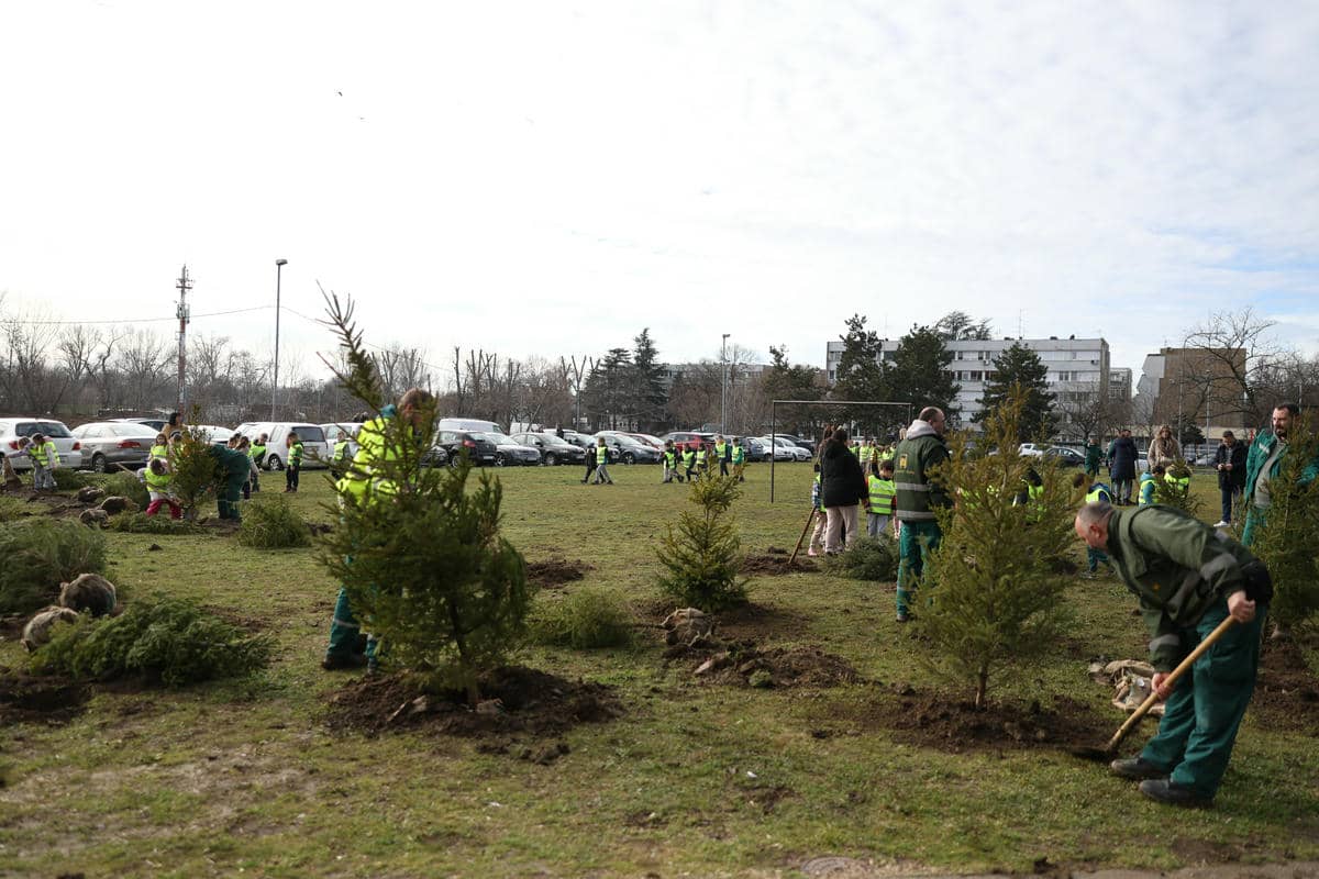  HMCL3645.jpg - Nemanja Nikolić 