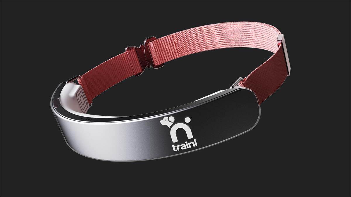  Traini pseća ogrlica 