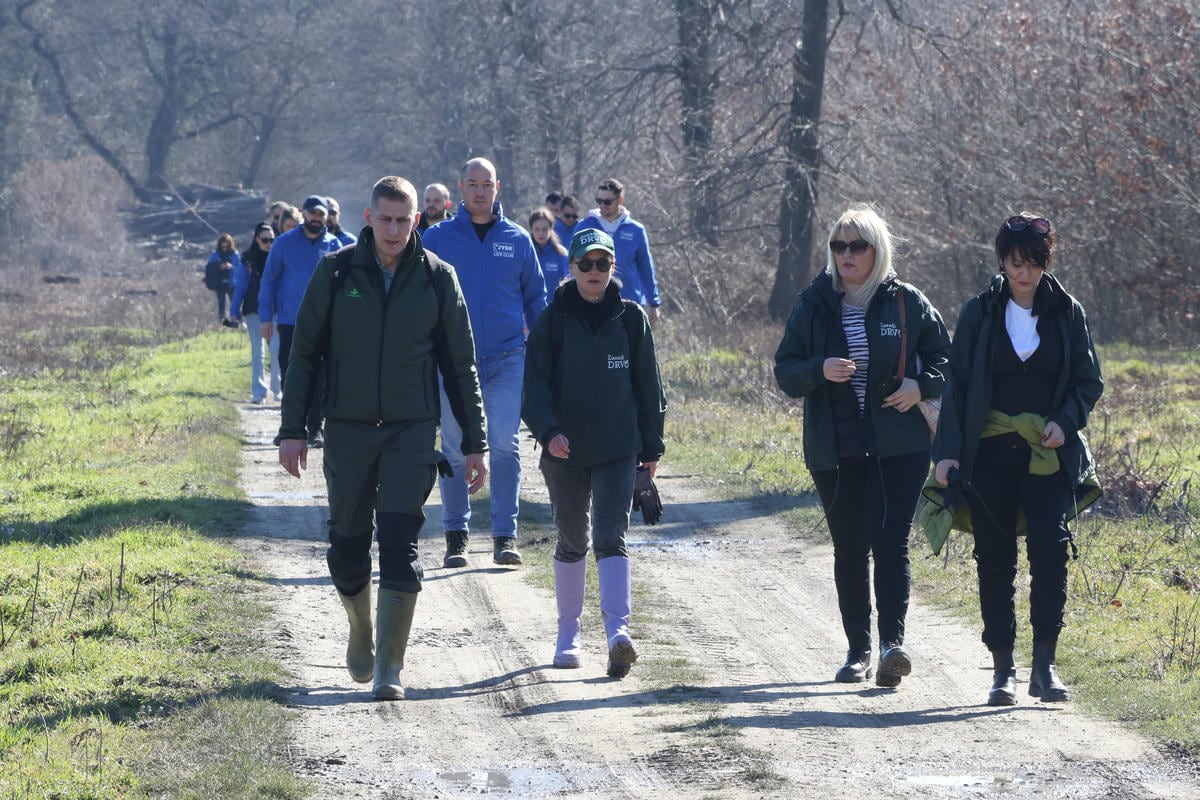  Bojčinska šuma slika 1.jpg - Petar Aleksić 