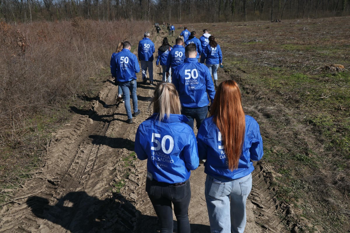  Bojčinska šuma slika 4.jpg - Petar Aleksić 