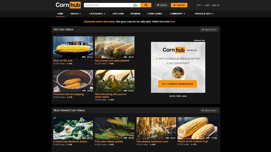   - PornHub/Printscreen 