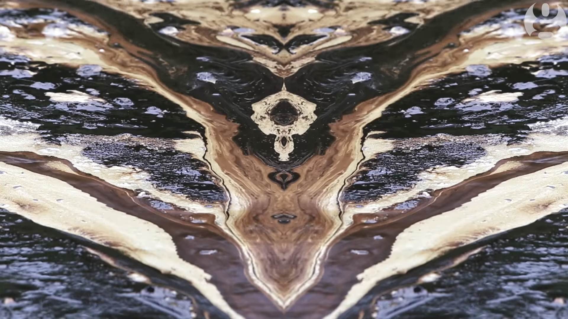   - YouTube/ Printscreen/ The Guardian 