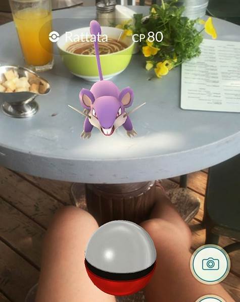   - Instagram/pokemongirls 