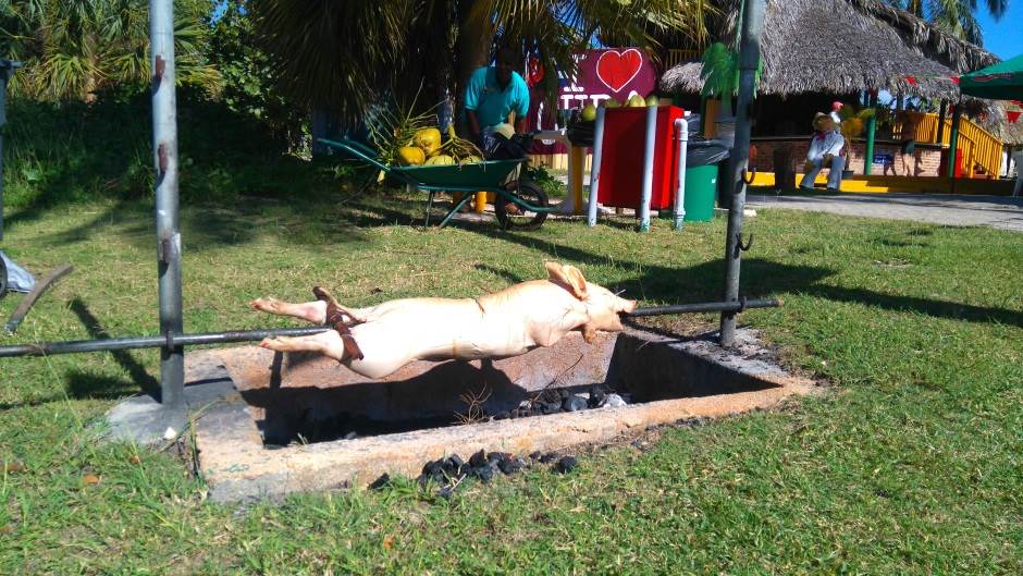 - MONDO/Predrag Vujić    - MONDO/Predrag Vujić