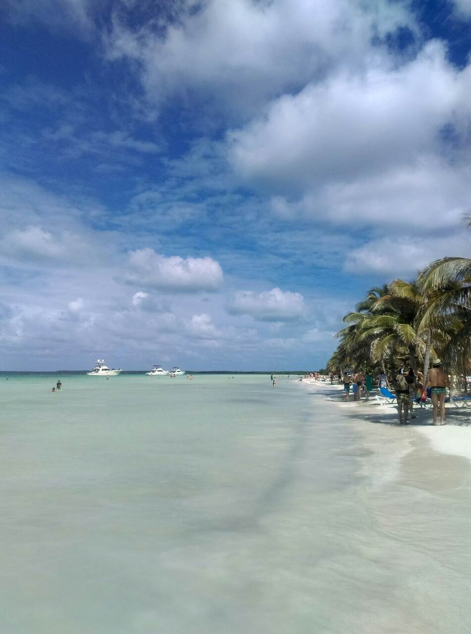 - MONDO/Predrag Vujić    - MONDO/Predrag Vujić