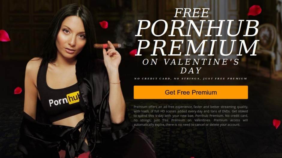  PornHub, pornići, film, video, seks, ludo seksi, internet 