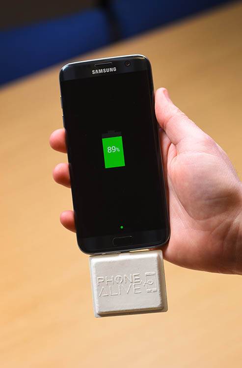   - Guliver/Solent News/REX/Shutterstock 