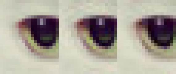   - PROMO/Google Research Blog 